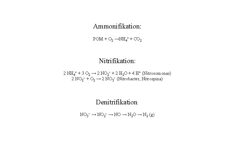 Ammonifikation: POM + O 2 →NH 4+ + CO 2 Nitrifikation: 2 NH 4+