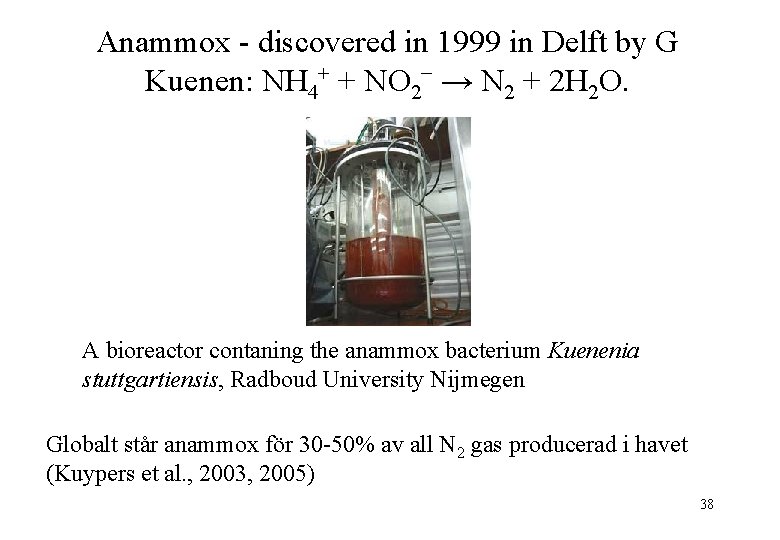 Anammox - discovered in 1999 in Delft by G Kuenen: NH 4+ + NO
