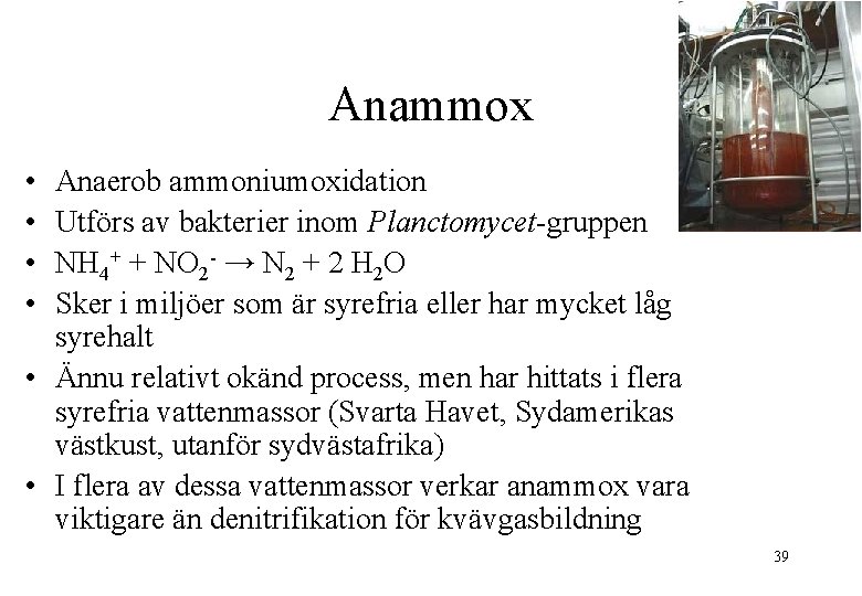 Anammox • • Anaerob ammoniumoxidation Utförs av bakterier inom Planctomycet-gruppen NH 4+ + NO