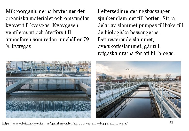 Mikroorganismerna bryter ner det organiska materialet och omvandlar kvävet till kvävgas. Kvävgasen ventileras ut