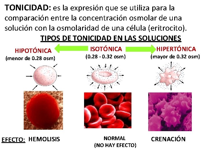 TONICIDAD: es la expresión que se utiliza para la comparación entre la concentración osmolar