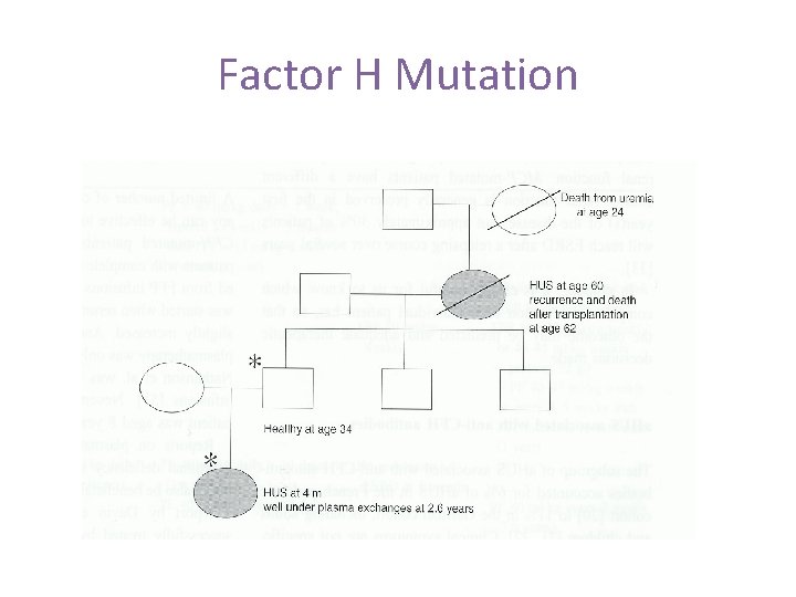 Factor H Mutation Factor H Mutation
