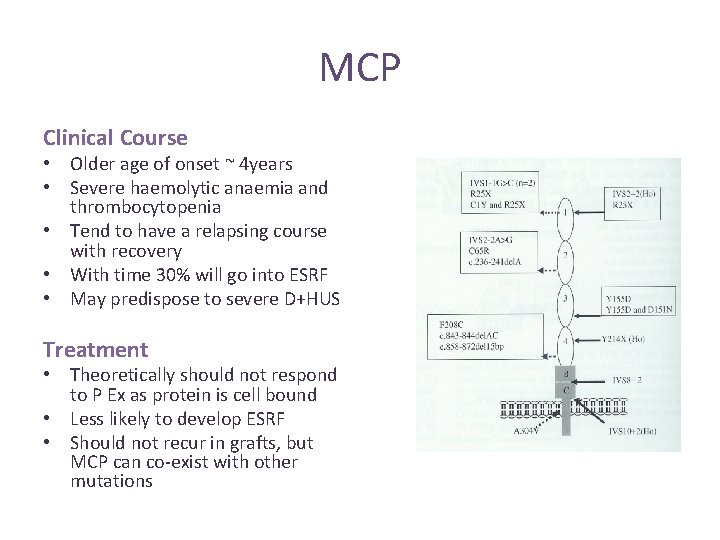 MCP Clinical Course • Older age of onset ~ 4 years • Severe haemolytic MCP Clinical Course • Older age of onset ~ 4 years • Severe haemolytic