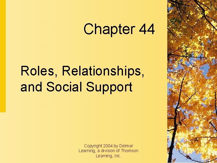 Chapter 44 Roles, Relationships, and Social Support Copyright 2004 by Delmar Learning, a division