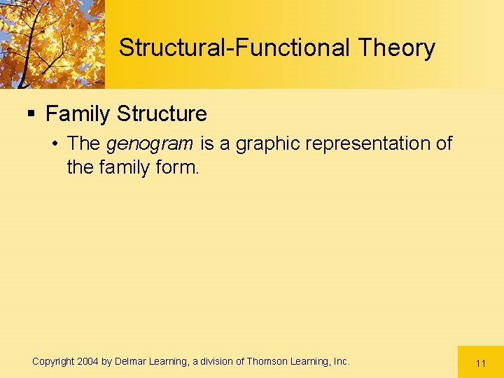 Structural-Functional Theory § Family Structure • The genogram is a graphic representation of the