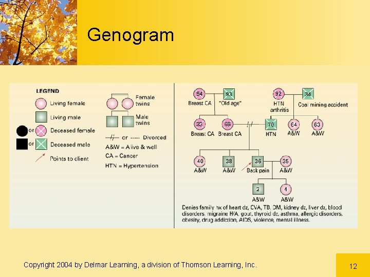 Genogram Copyright 2004 by Delmar Learning, a division of Thomson Learning, Inc. 12 