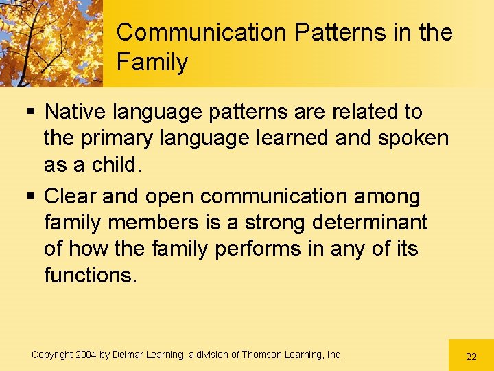 Communication Patterns in the Family § Native language patterns are related to the primary