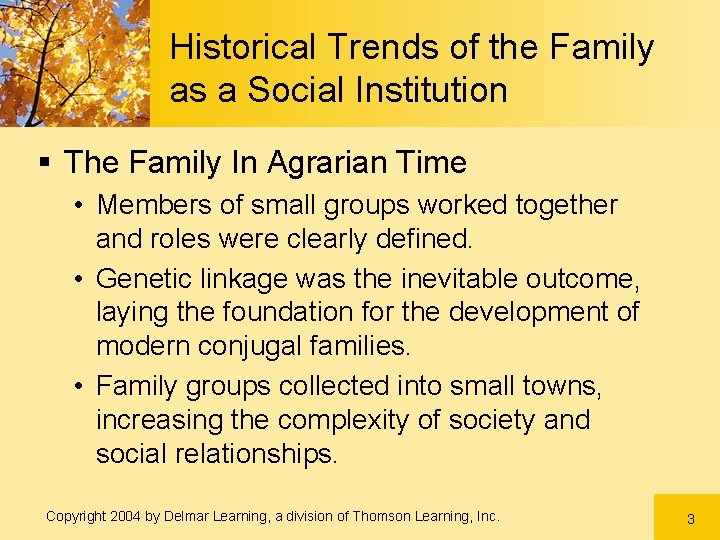 Historical Trends of the Family as a Social Institution § The Family In Agrarian