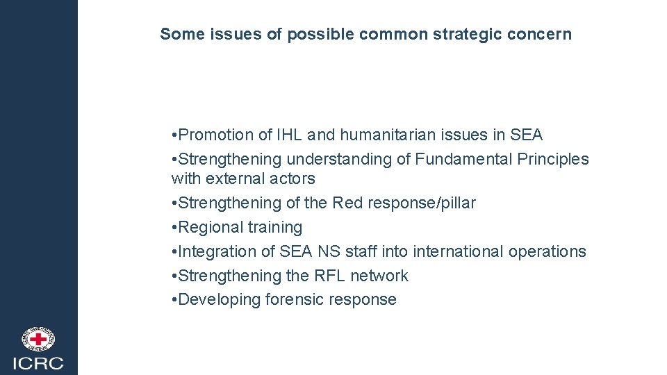 Some issues of possible common strategic concern • Promotion of IHL and humanitarian issues