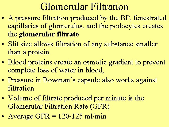 Glomerular Filtration • A pressure filtration produced by the BP, fenestrated capillaries of glomerulus,