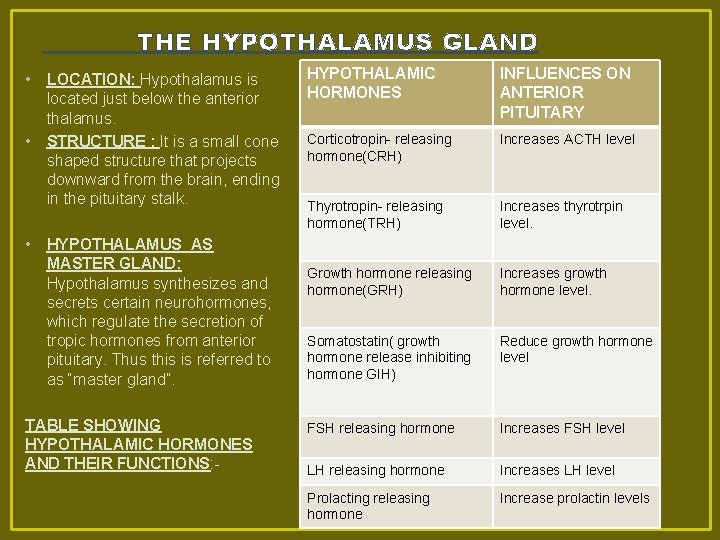 THE HYPOTHALAMUS GLAND • LOCATION: Hypothalamus is located just below the anterior thalamus. •