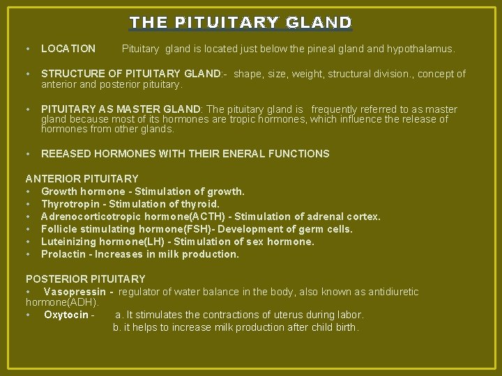 THE PITUITARY GLAND • LOCATION • STRUCTURE OF PITUITARY GLAND: - shape, size, weight,