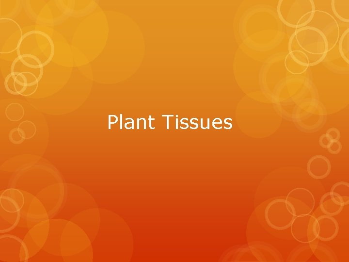 Plant Tissues 