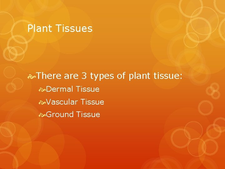 Plant Tissues There are 3 types of plant tissue: Dermal Tissue Vascular Tissue Ground