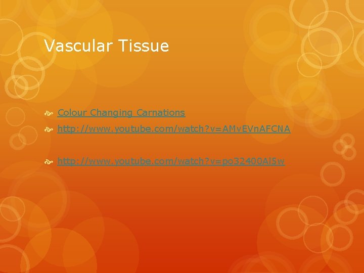 Vascular Tissue Colour Changing Carnations http: //www. youtube. com/watch? v=AMv. EVn. AFCNA http: //www.