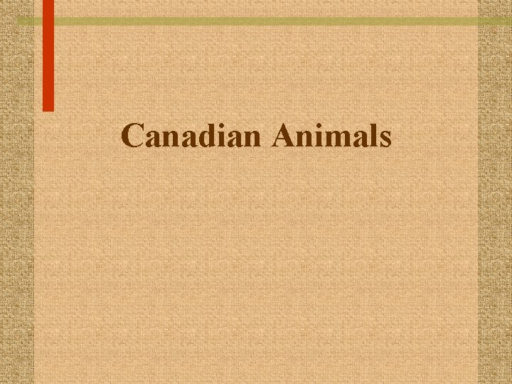 Canadian Animals 