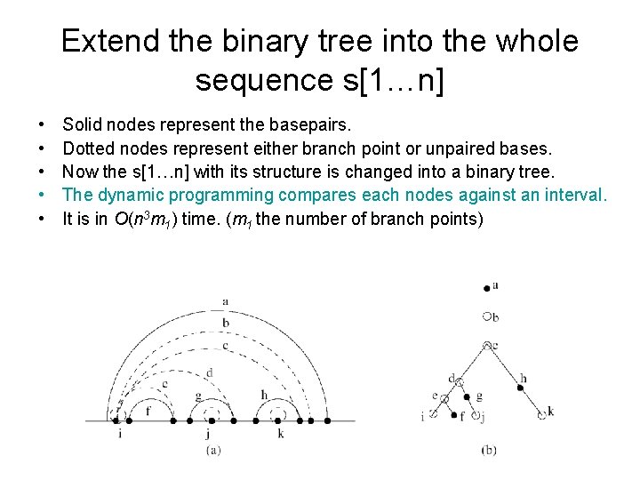 Extend the binary tree into the whole sequence s[1…n] • • • Solid nodes