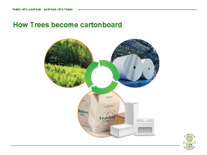 TREES INTO CARTONS • CARTONS INTO TREES How Trees become cartonboard 