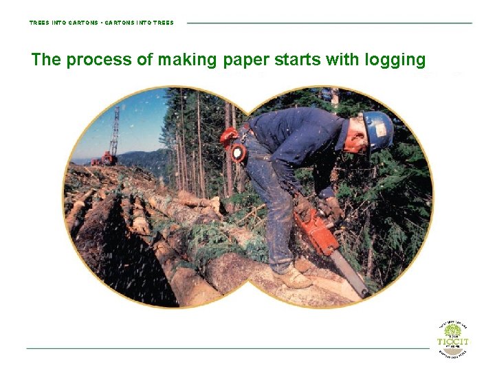 TREES INTO CARTONS • CARTONS INTO TREES The process of making paper starts with