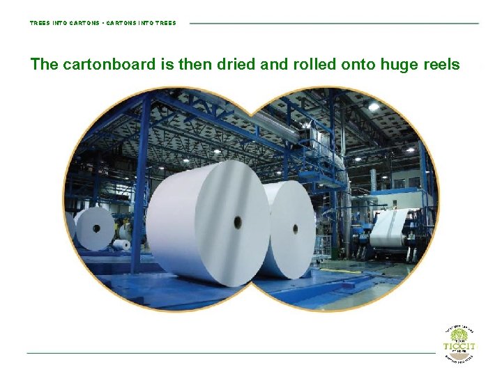 TREES INTO CARTONS • CARTONS INTO TREES The cartonboard is then dried and rolled