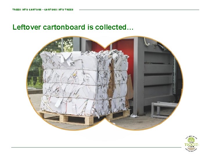 TREES INTO CARTONS • CARTONS INTO TREES Leftover cartonboard is collected… 