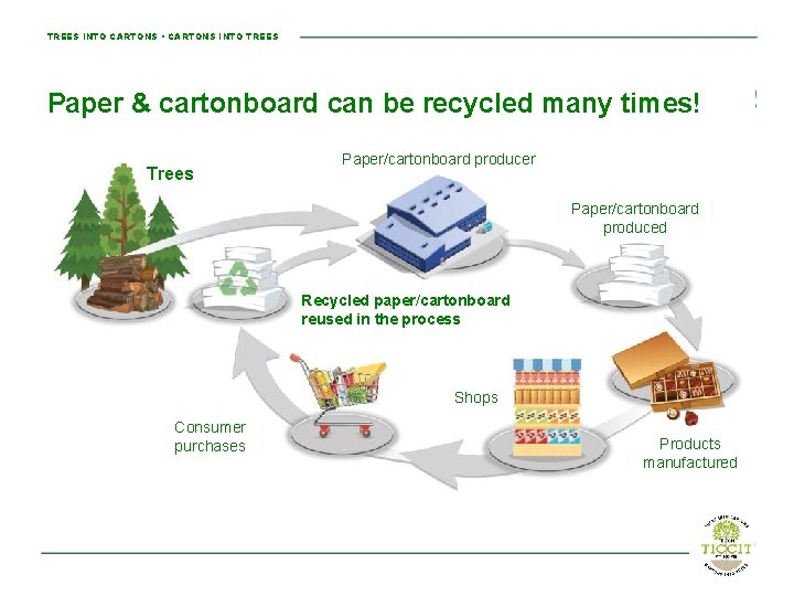 TREES INTO CARTONS • CARTONS INTO TREES Paper & cartonboard can be recycled many