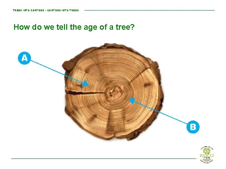 TREES INTO CARTONS • CARTONS INTO TREES How do we tell the age of