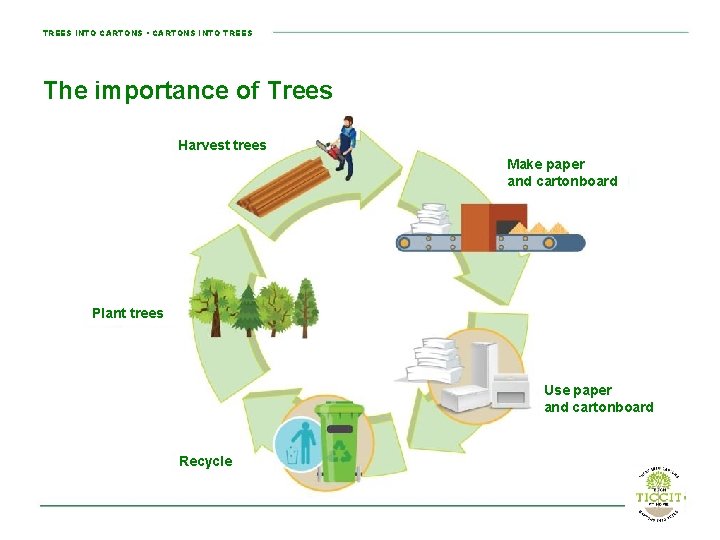 TREES INTO CARTONS • CARTONS INTO TREES The importance of Trees Harvest trees Make