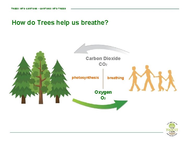 TREES INTO CARTONS • CARTONS INTO TREES How do Trees help us breathe? Carbon