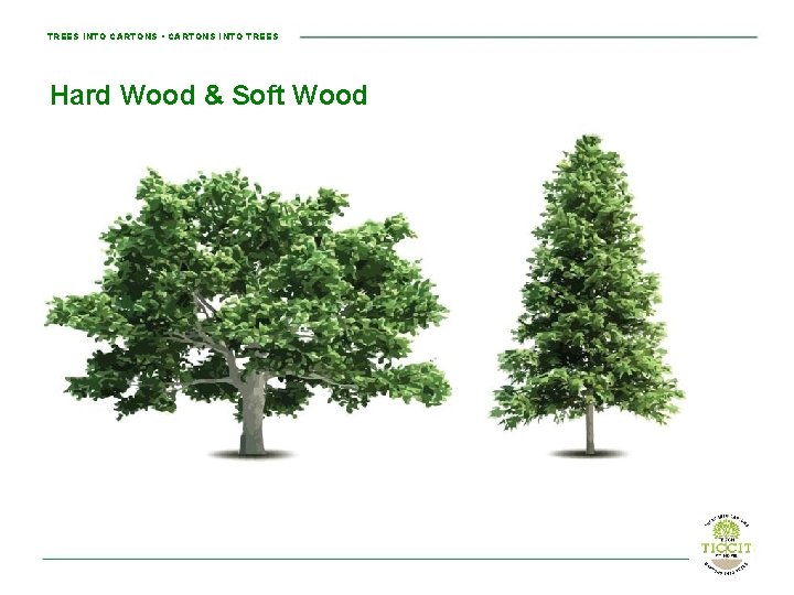 TREES INTO CARTONS • CARTONS INTO TREES Hard Wood & Soft Wood 