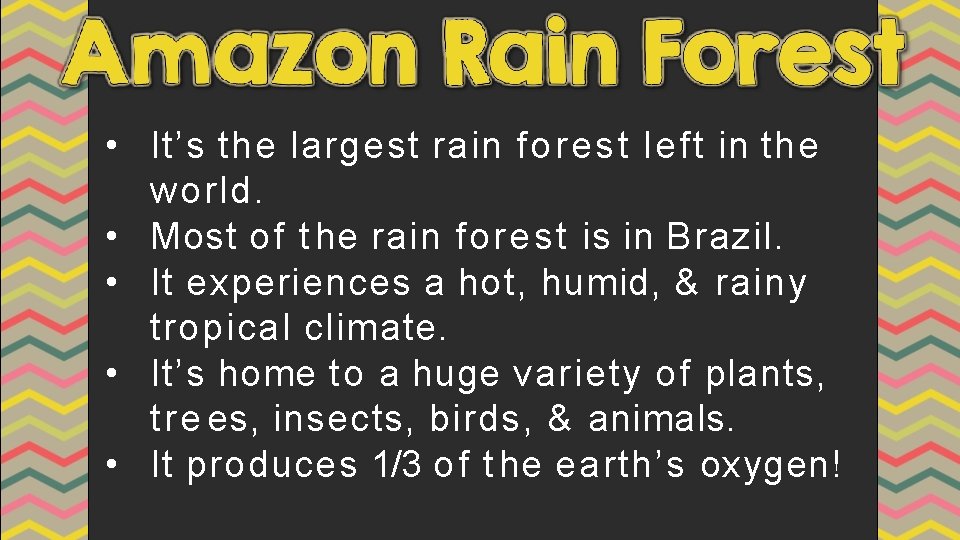  • It’s the largest rain forest left in the world. • Most of