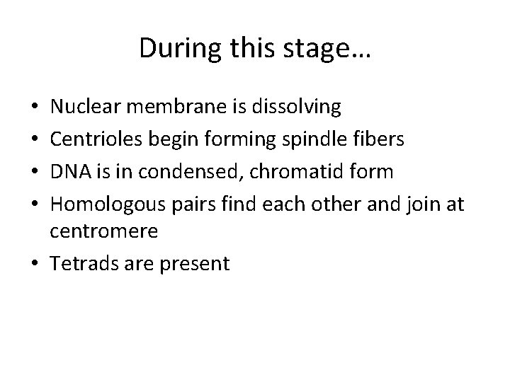 During this stage… Nuclear membrane is dissolving Centrioles begin forming spindle fibers DNA is