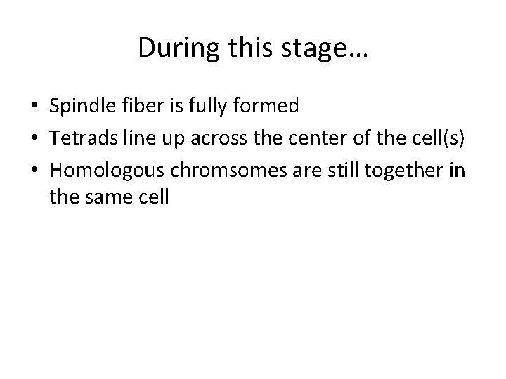 During this stage… • Spindle fiber is fully formed • Tetrads line up across