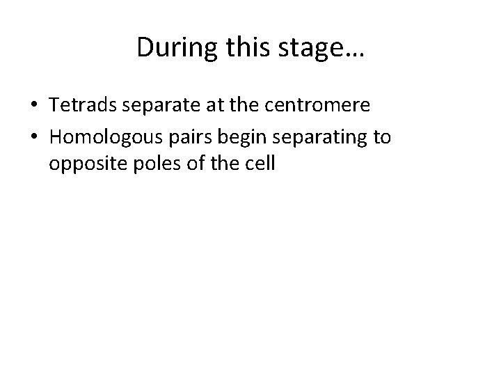 During this stage… • Tetrads separate at the centromere • Homologous pairs begin separating