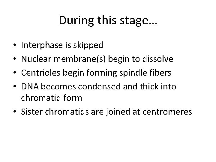 During this stage… Interphase is skipped Nuclear membrane(s) begin to dissolve Centrioles begin forming