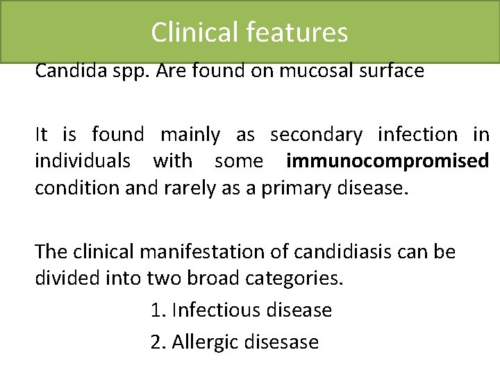 Clinical features Candida spp. Are found on mucosal surface It is found mainly as