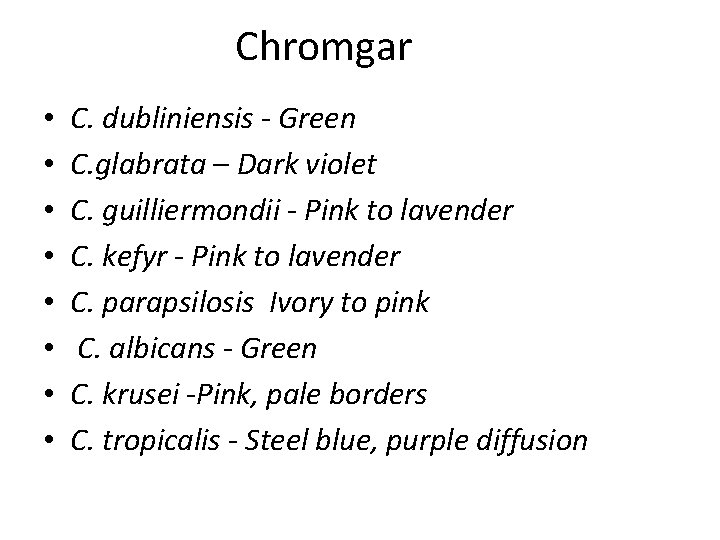 Chromgar • • C. dubliniensis - Green C. glabrata – Dark violet C. guilliermondii