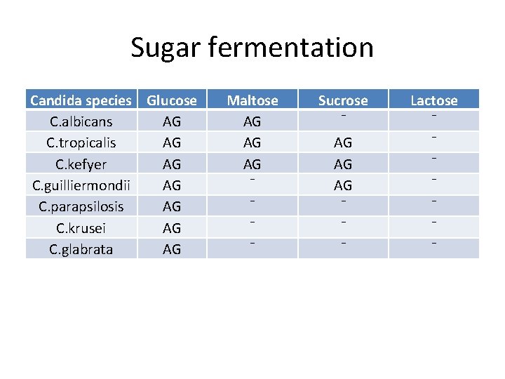 Sugar fermentation Candida species Glucose C. albicans AG C. tropicalis AG C. kefyer AG