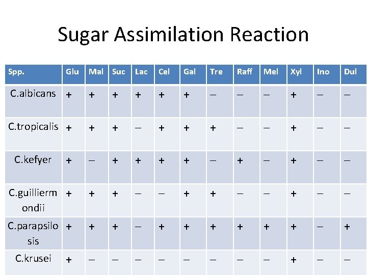 Sugar Assimilation Reaction Spp. Mal Suc Lac Cel Gal Tre Raff Mel Xyl Ino