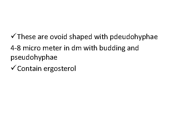 ü These are ovoid shaped with pdeudohyphae 4 -8 micro meter in dm with