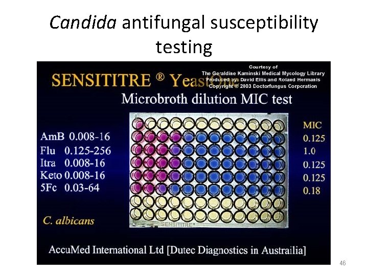 Candida antifungal susceptibility testing 46 
