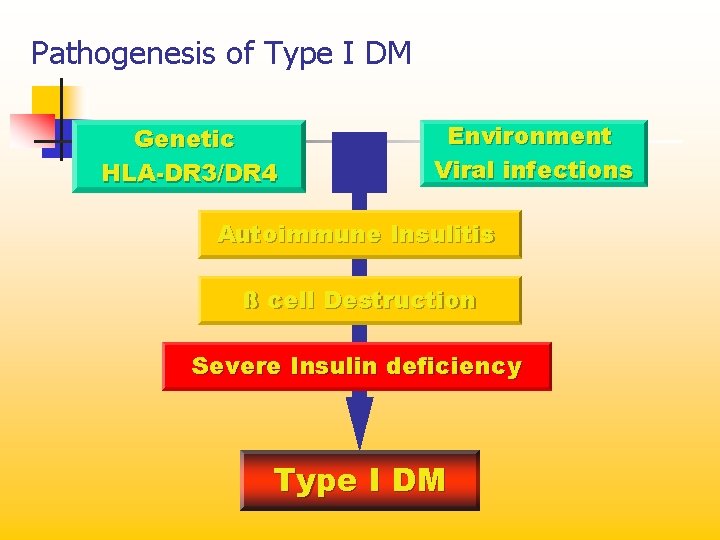 Pathogenesis of Type I DM Genetic HLA-DR 3/DR 4 Environment Viral infections Autoimmune Insulitis