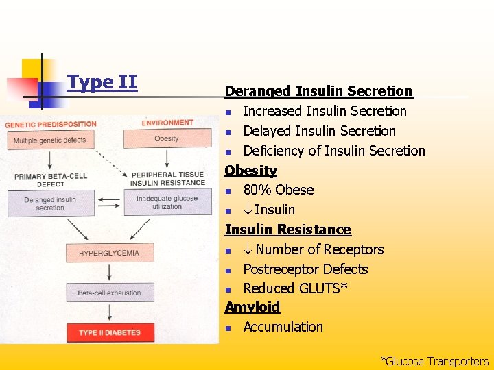 Type II Deranged Insulin Secretion n Increased Insulin Secretion n Delayed Insulin Secretion n
