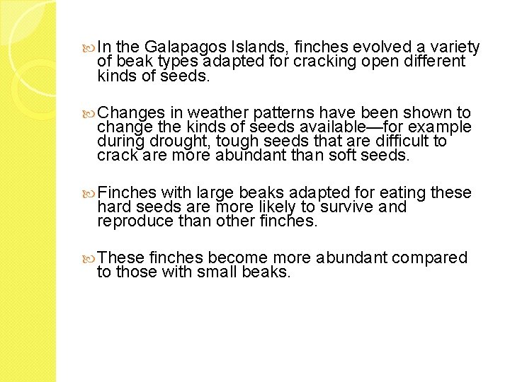  In the Galapagos Islands, finches evolved a variety of beak types adapted for