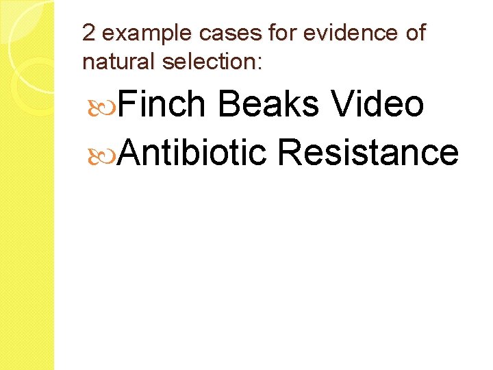2 example cases for evidence of natural selection: Finch Beaks Video Antibiotic Resistance 