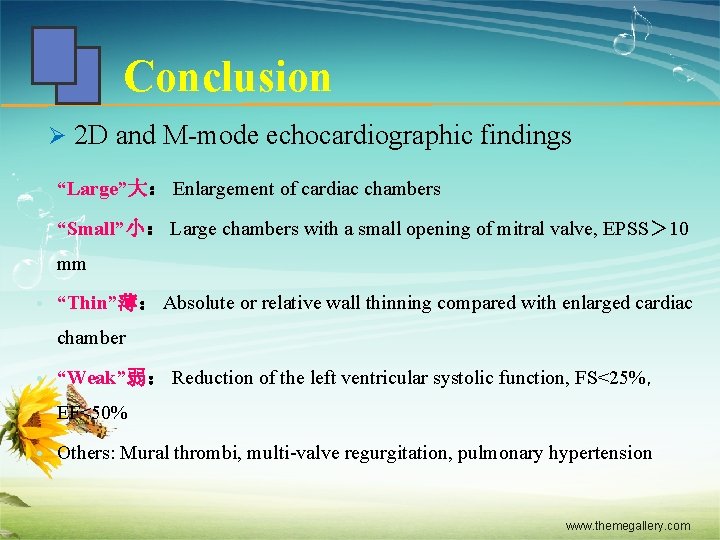Conclusion Ø 2 D and M-mode echocardiographic findings • “Large”大： Enlargement of cardiac chambers