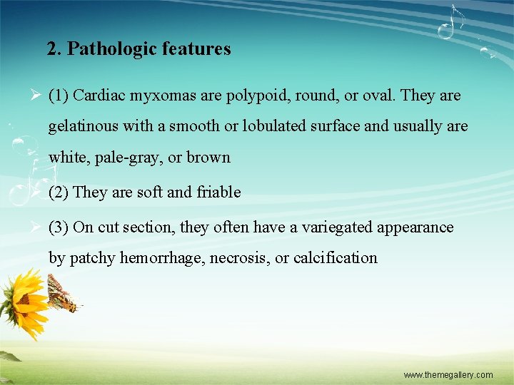 2. Pathologic features Ø (1) Cardiac myxomas are polypoid, round, or oval. They are