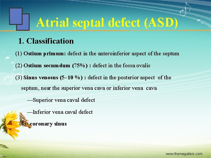 Atrial septal defect (ASD) 1. Classification (1) Ostium primum: defect in the anteroinferior aspect