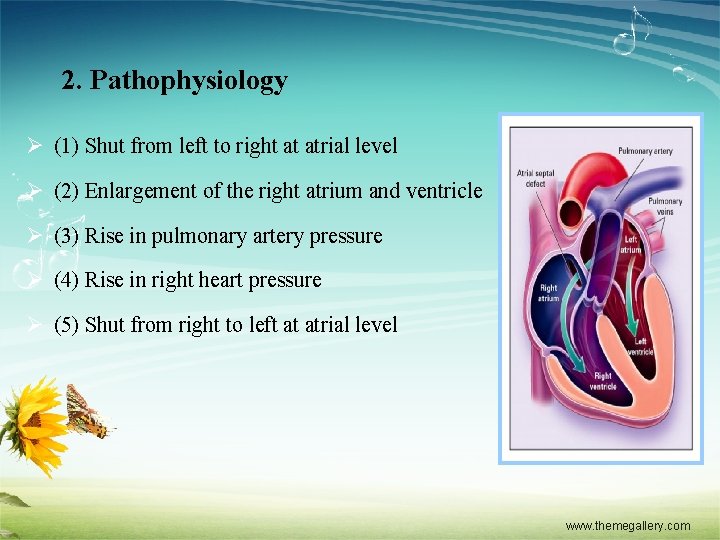 2. Pathophysiology Ø (1) Shut from left to right at atrial level Ø (2)