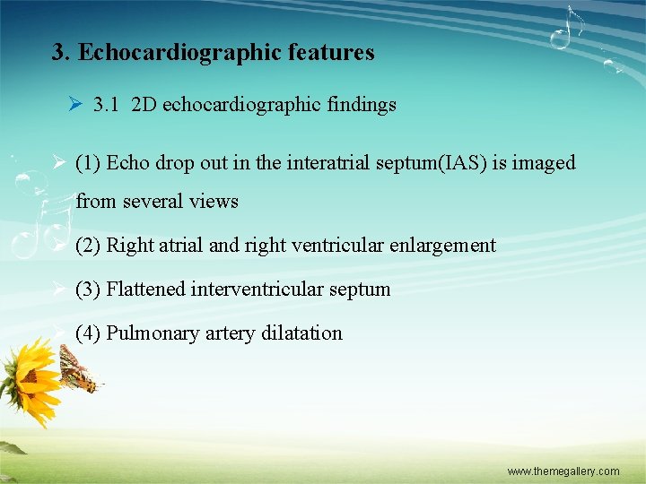 3. Echocardiographic features Ø 3. 1 2 D echocardiographic findings Ø (1) Echo drop